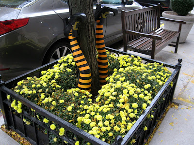 The Wicked Witch of the East