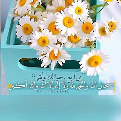 صور حلوه وجميلة خلفيات لاب توب وموبايل بجودة HD 2 صور حلوه وجميلة خلفيات لاب توب وموبايل بجودة HD 2
