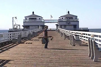 Photograph copyright Suzanne Simson 2017