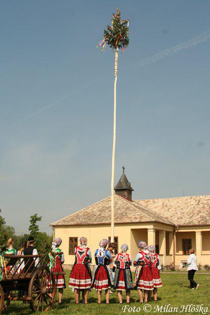 Europa Junior : Tradiciones de Eslovaquia: el árbol de mayo