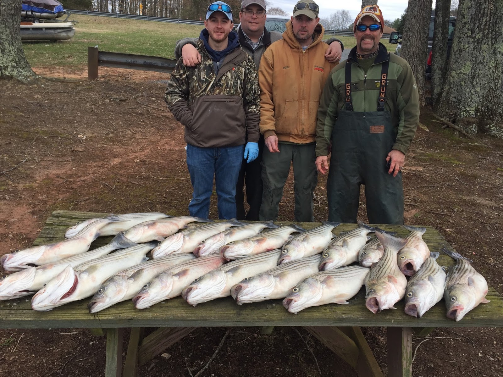 Striper Report Lake Anna Stripers Jim Hemby Guide Service Striper Report Lake Anna Stripers Jim Hemby Guide Service