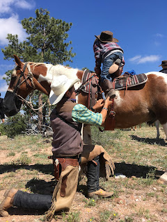 12 Oaks Ranch Blog Storys Aus Huckeswagen