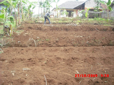 Lahan Perkebunan, Sarana Latihan Keterampilan Anak