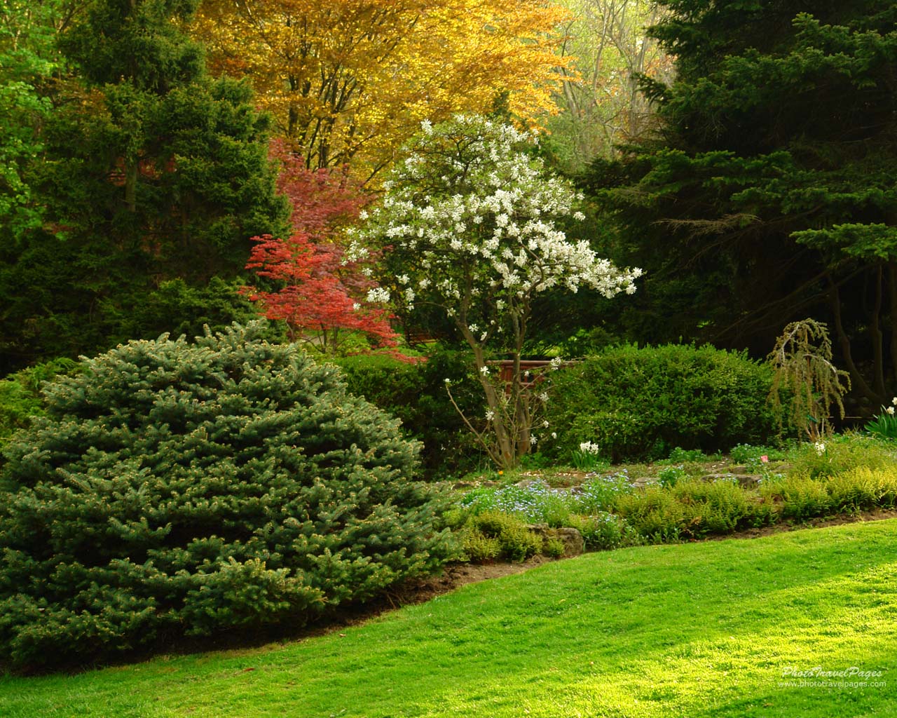 Download 5500 Background Foto Taman Bunga HD Terbaik - Download Background