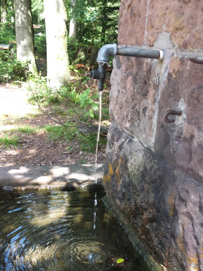 Bub Burger Fur Uberlingen August 2018