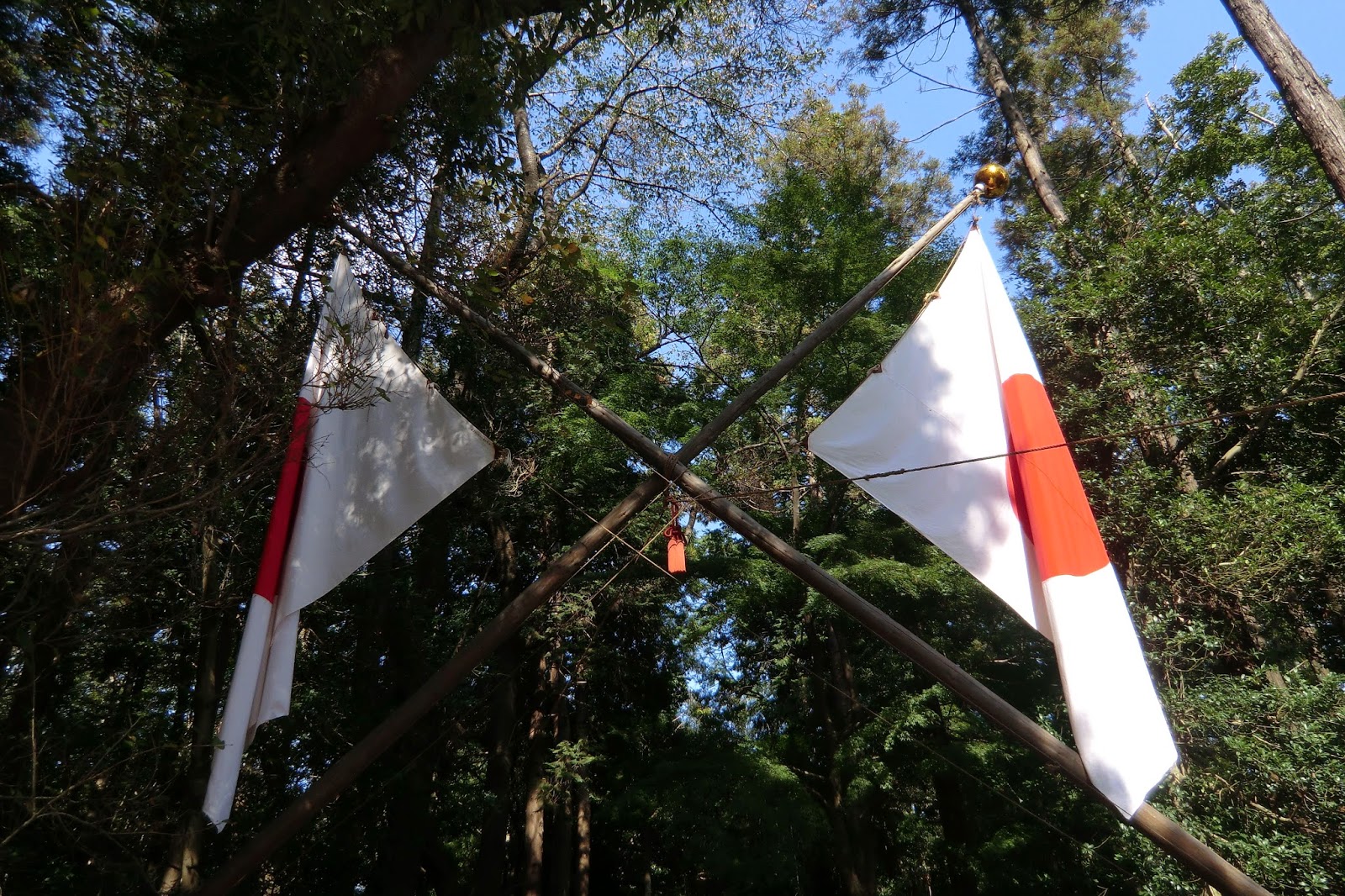 かまがや散歩 鎌ケ谷の神社(4) 根頭神社(その3) 例大祭
