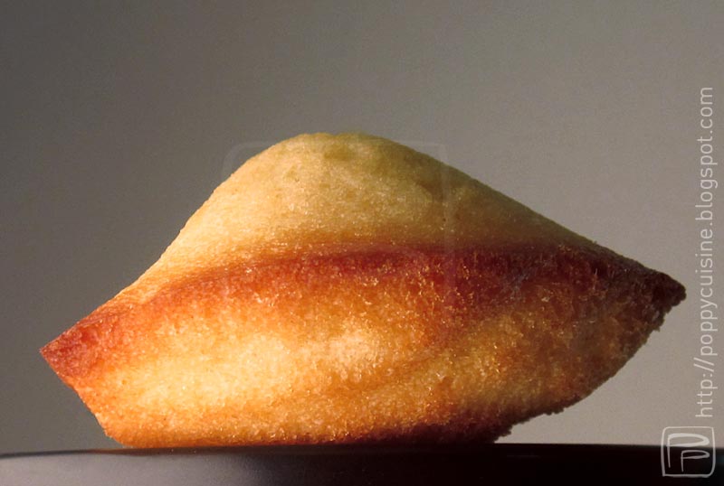 PP Poppy's cuisine Madeleines classiques citronnées
