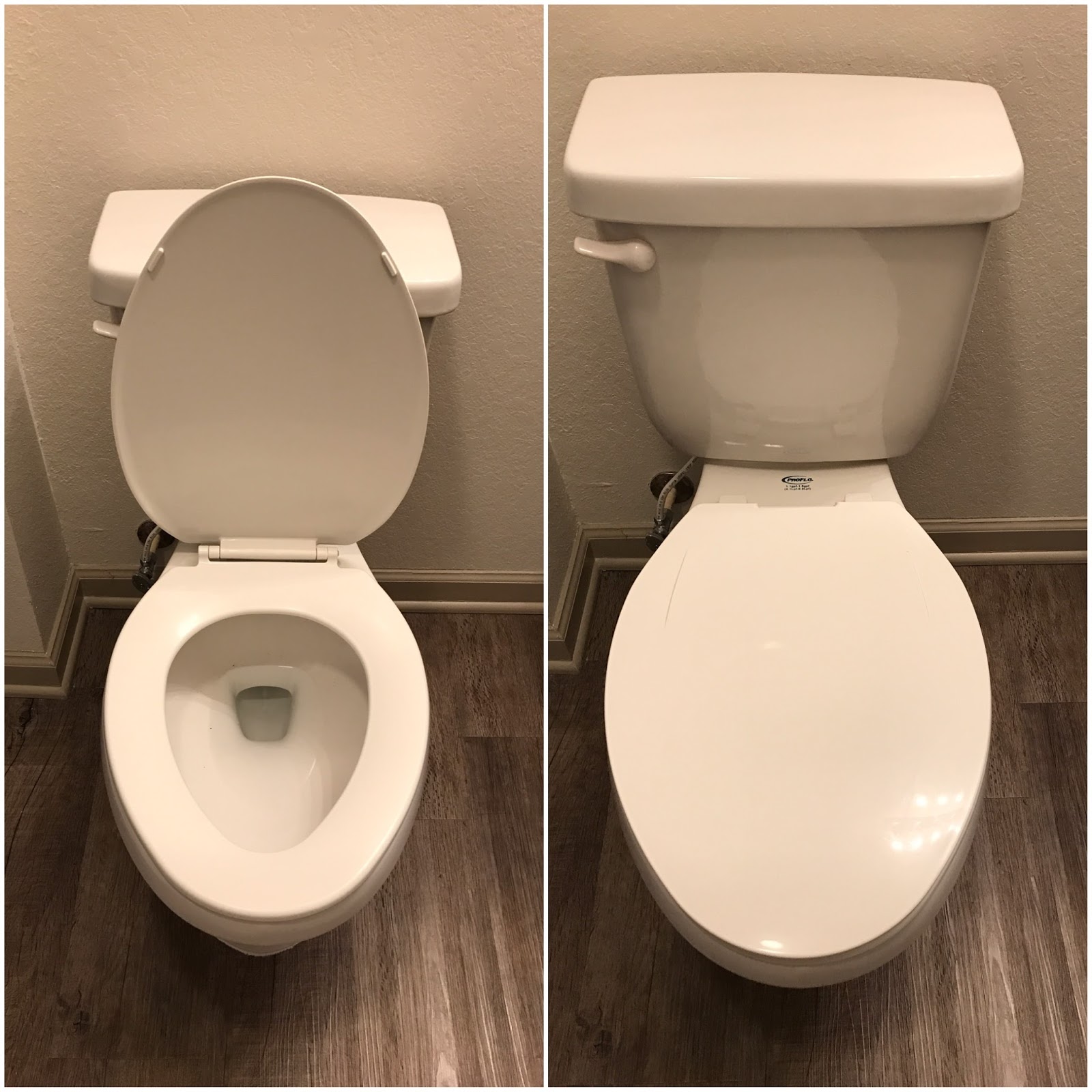 The Red Fox Strikes Again Why You Should Always Close the Lid Before