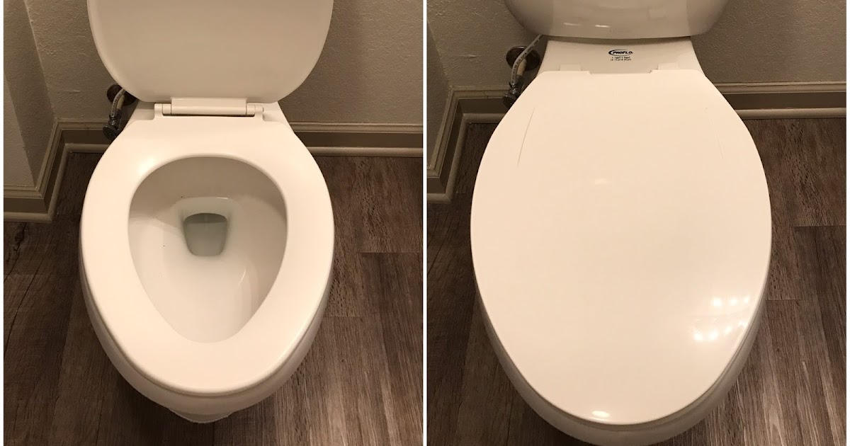 The Red Fox Strikes Again Why You Should Always Close the Lid Before