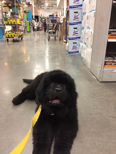 Snarky Puppy Tell Your Friends Rar