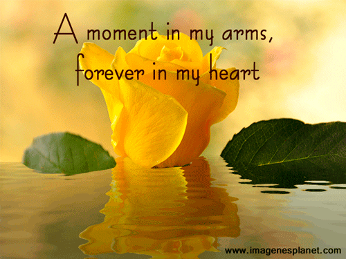 A moment in my ARMS, forever in my HEART