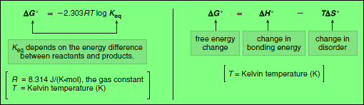 Thermodynamics of Organic Compounds