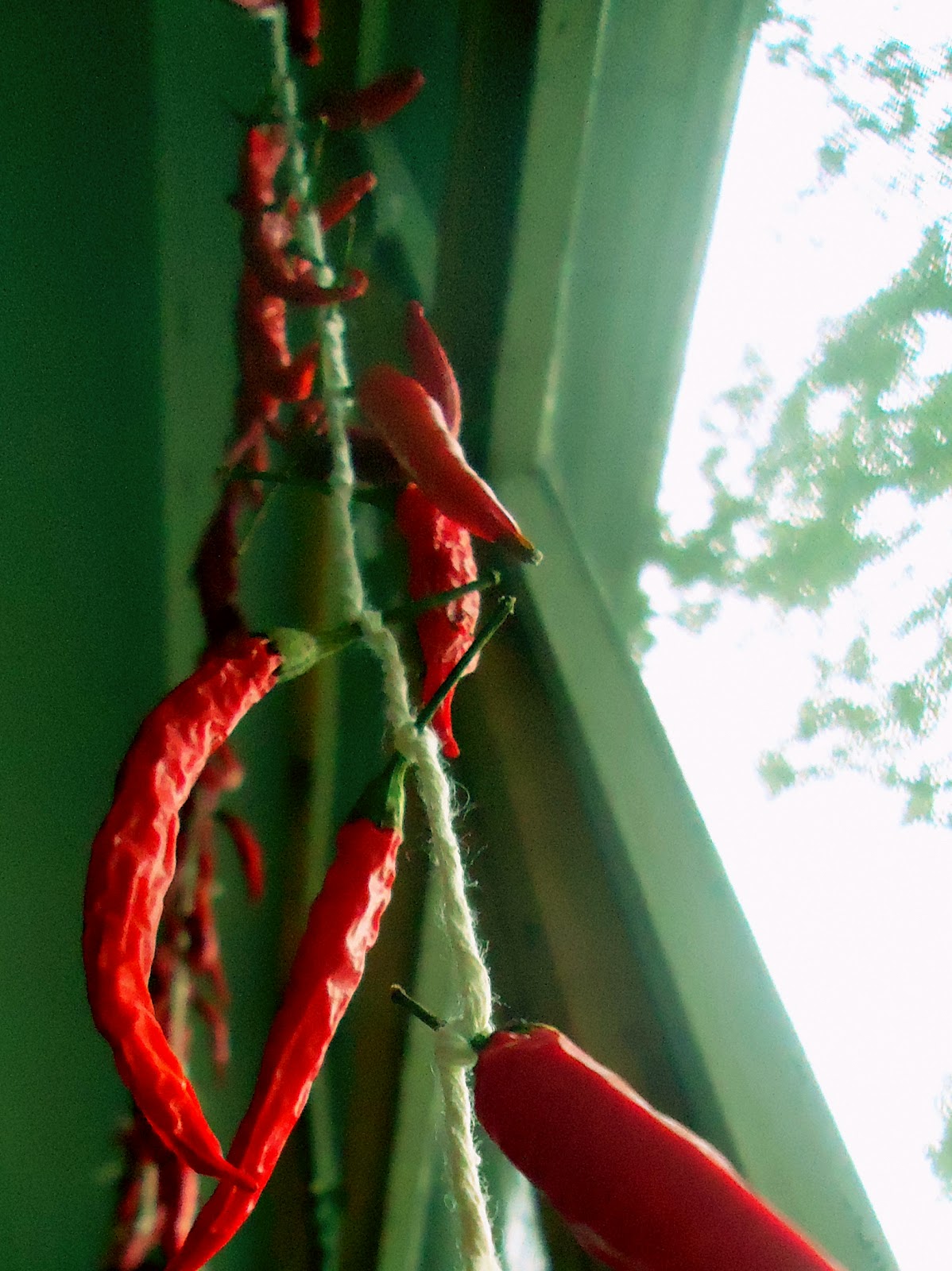 KareWares Homedried Thai chili peppers