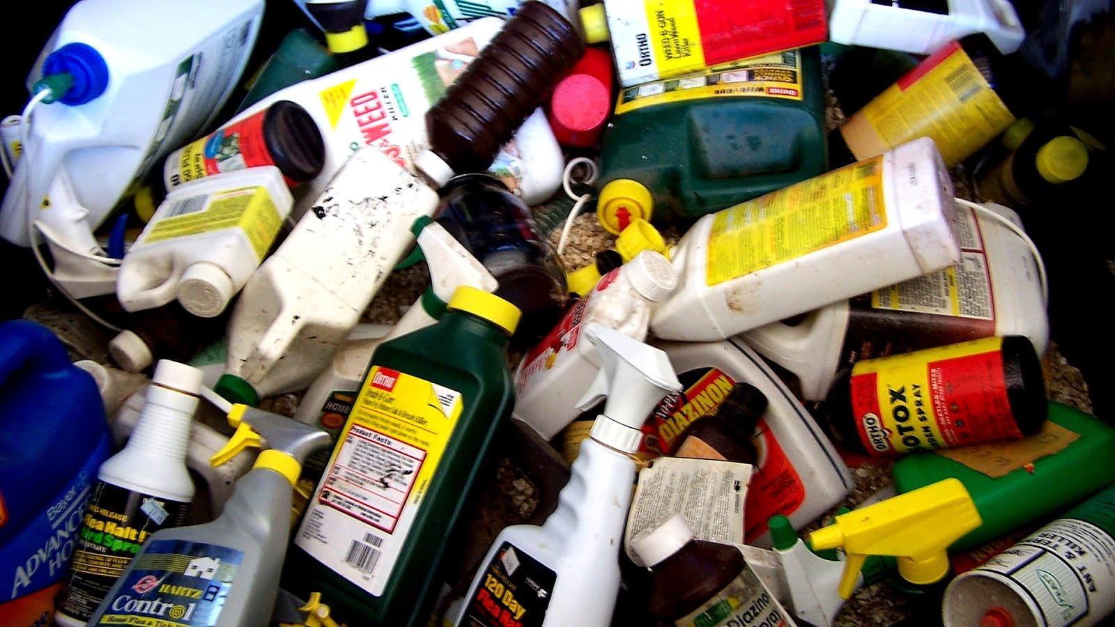 Paint Waste Removal Paint Choices