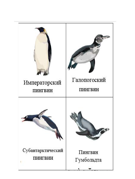 Пингвин звуковая схема. Задания от пингвинов. Пингвины логические задания. Субантарктический Пингвин. Пингвины задания по чтению.