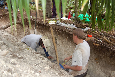 Newly revealed Maya farming hotspots hold key to ancient culture