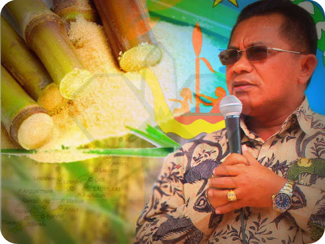 Perkebunan Tebu dan Pabrik Gula di MTB Berikan PAD Besar Perkebunan Tebu dan Pabrik Gula di MTB Berikan PAD Besar