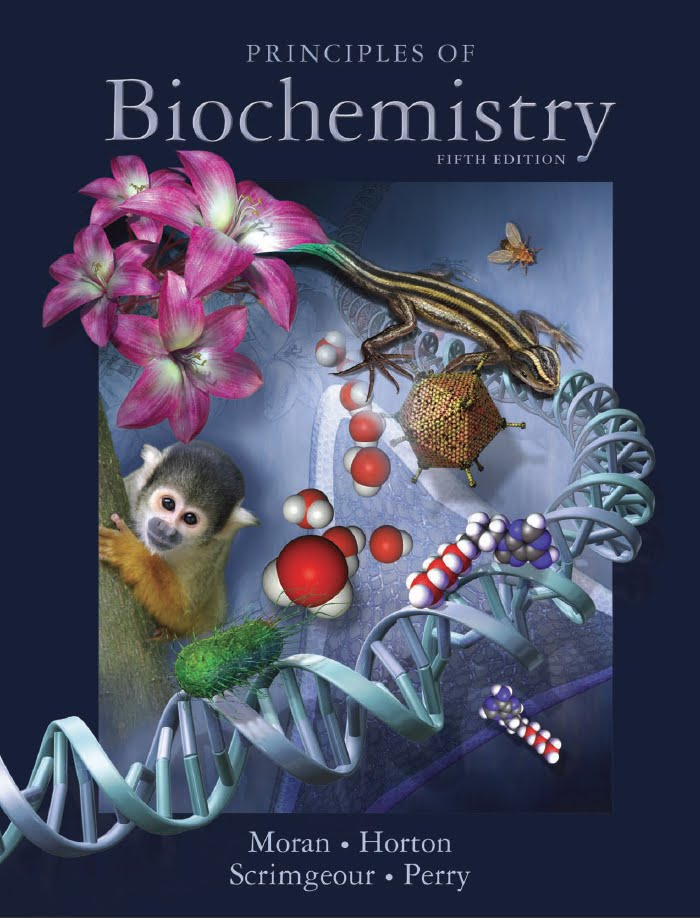 Principles Of Biochemistry Horton 4th Edition Pdf