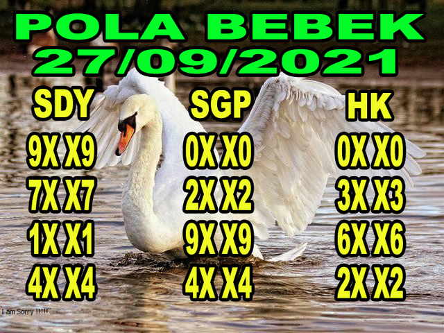 PREDIKSI SYDNEY COJEEL