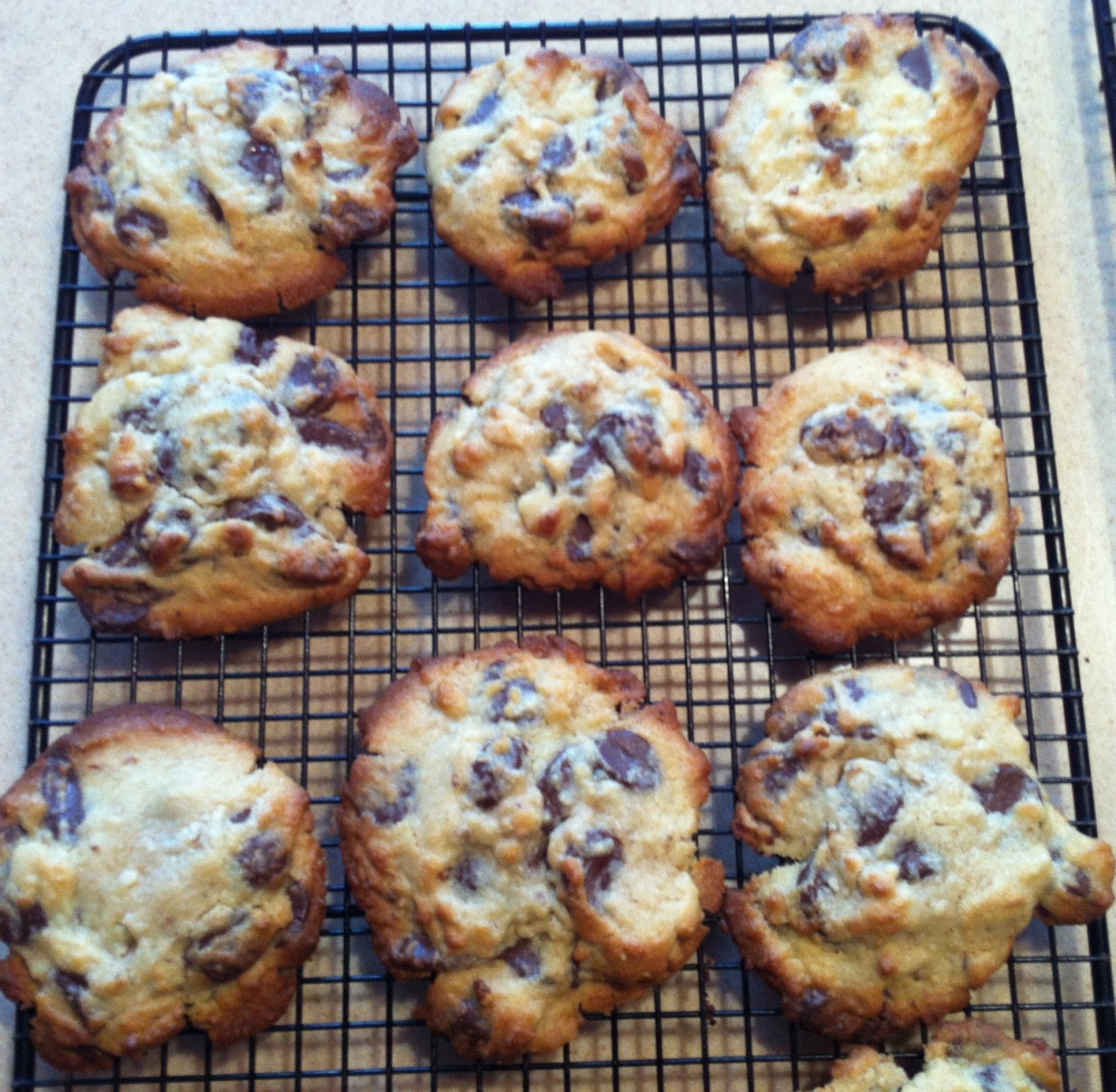 Food Lab Pretty Damn Good Chocolate Chip Cookies