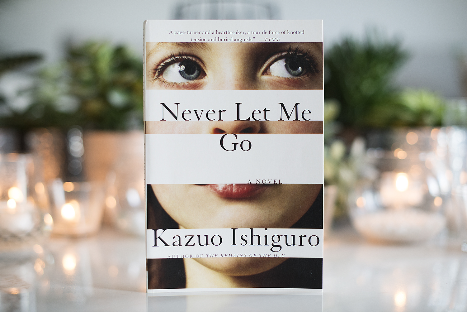 Devan never let me go. Role model never let you go. Never let me go книга. не отпускай меня никогда. Kazuo ishiguro never let me go картинки.