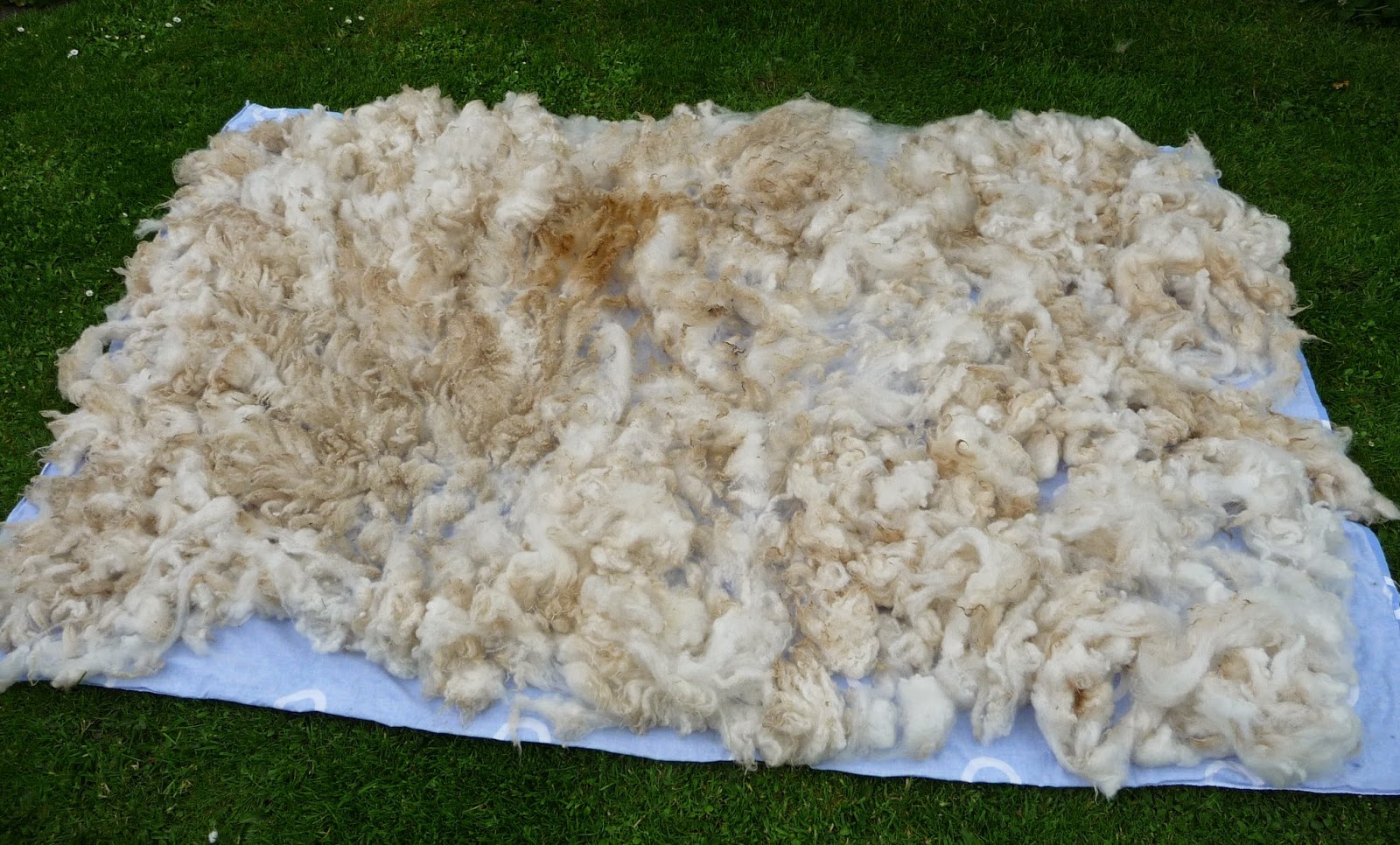 Wool Tribulations of Hand Spinning and Herbal Dyeing Knitting and