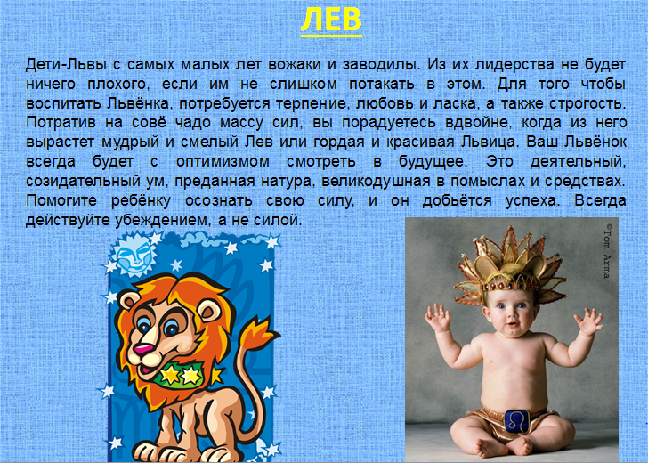 лев символ. лев имя ребенка. лев с сыном. лев имя. характеристика имени лев.