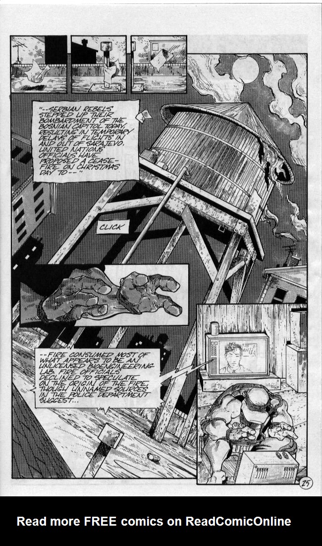 Teenage Mutant Ninja Turtles (1984) Issue #54 #54 - English 26