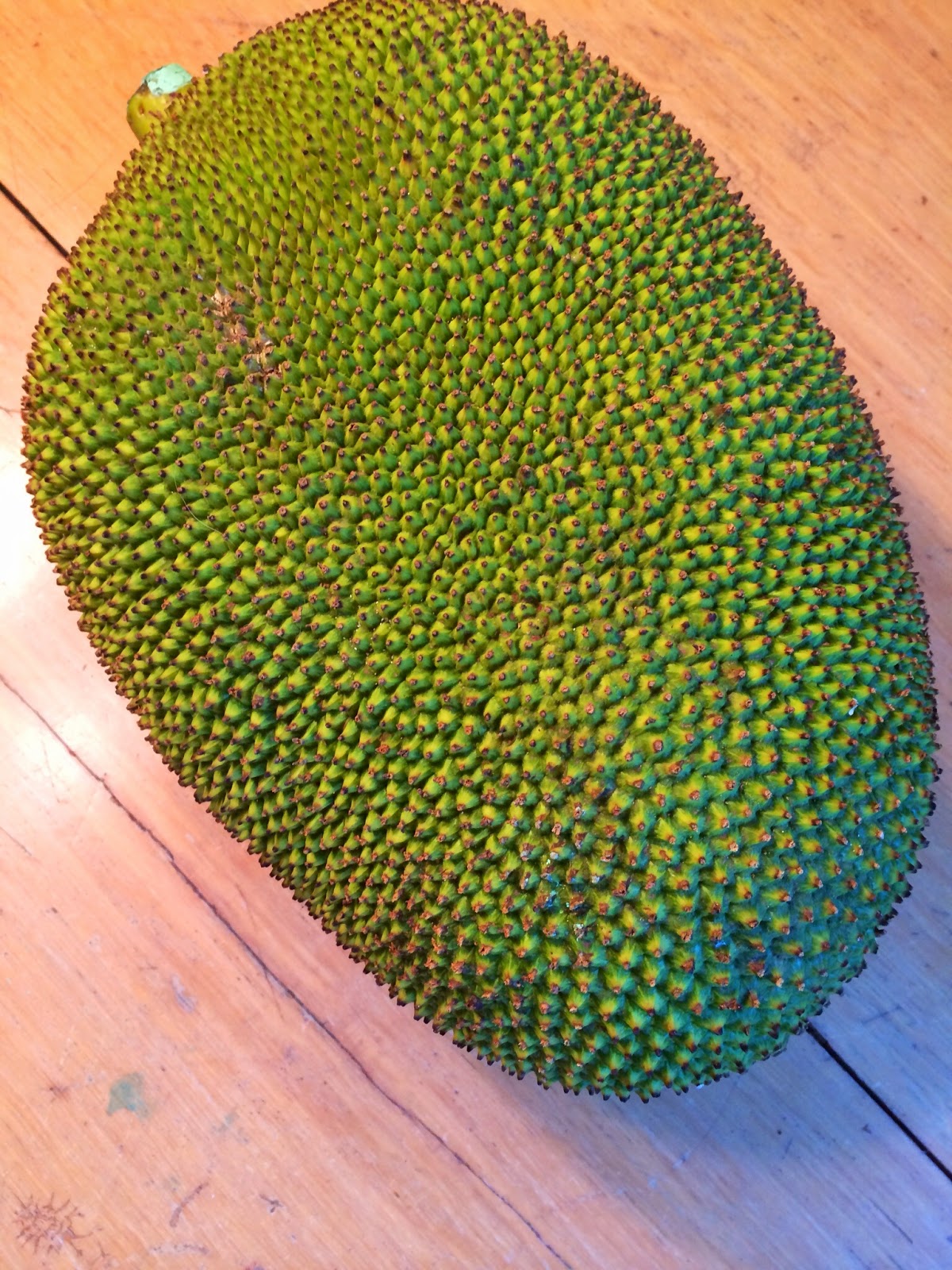 One Lonely Bee: And we all Live in the House of Jackfruit
