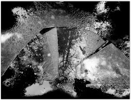 Havet inom oss / The Sea Within Us