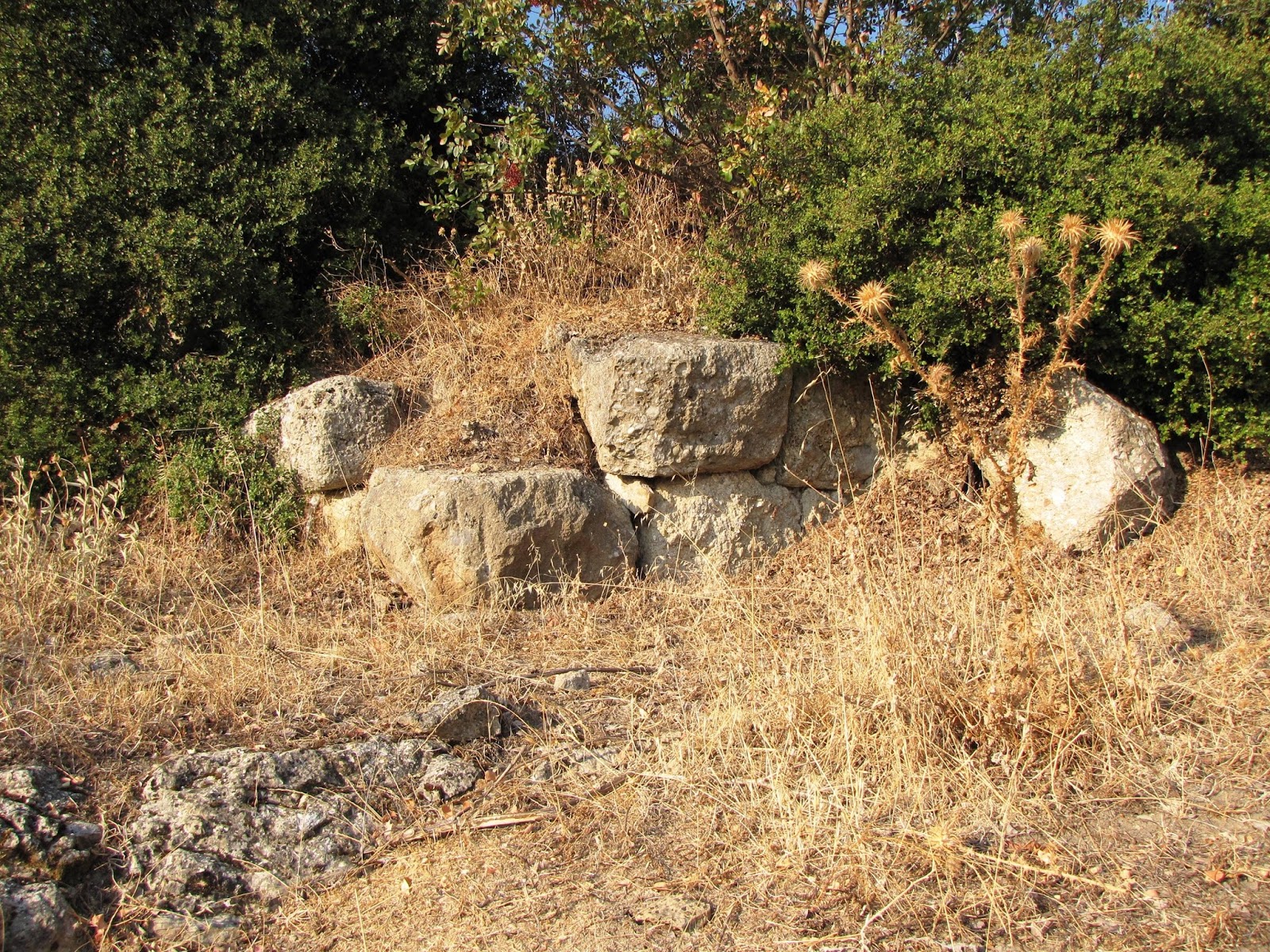 τέσσερις φωτογραφίες μια λέξη ταχύτητα χρονολογίων100 δωρεάν μουσουλμανική online dating