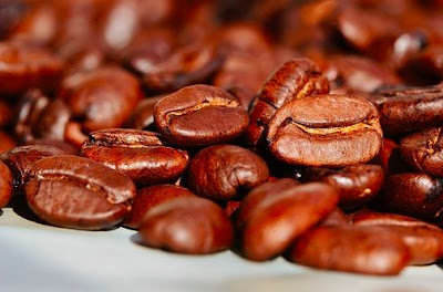 contoh gambar biji kopi