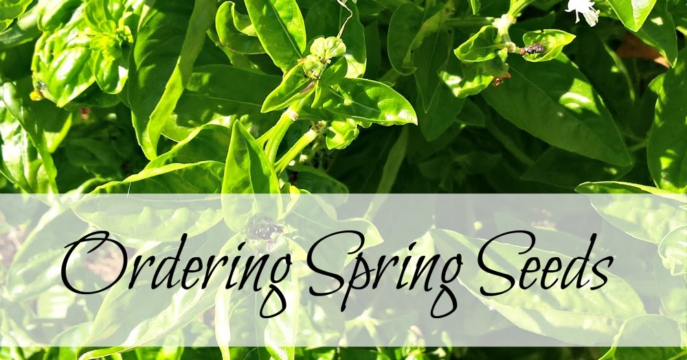 When To Order Seeds For Spring Planting at Donald Pepper blog