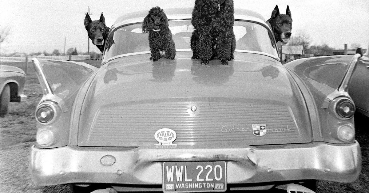 Bygone Walla Walla vintage images of the City and County (and beyond