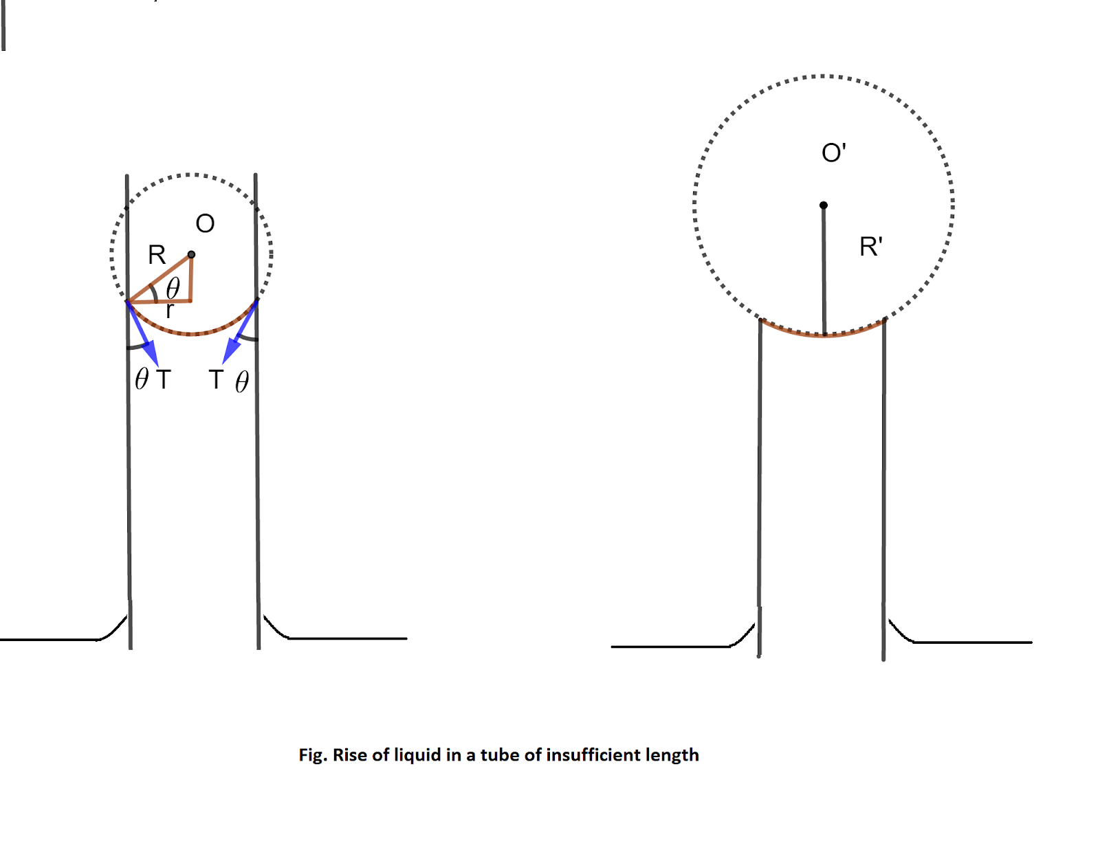 Surface tension (Fluid statics) Complete notes Important questions