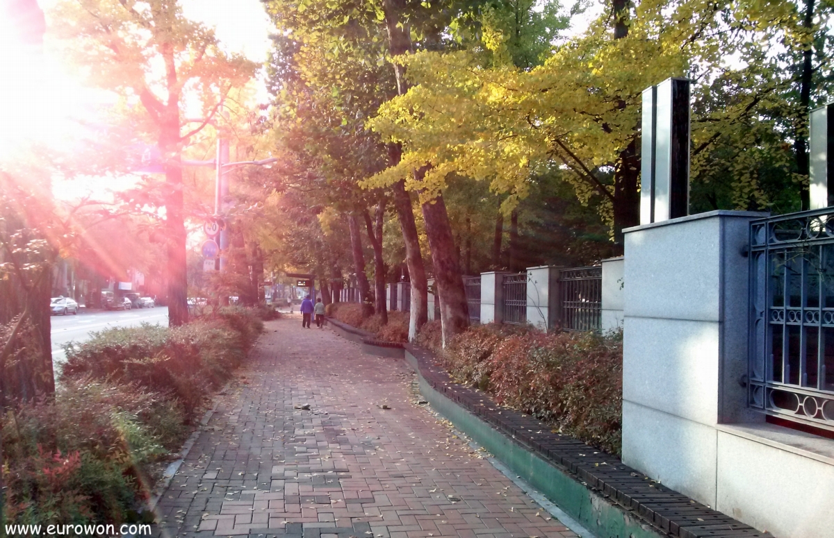 Calle de Seúl en una tarde otoño