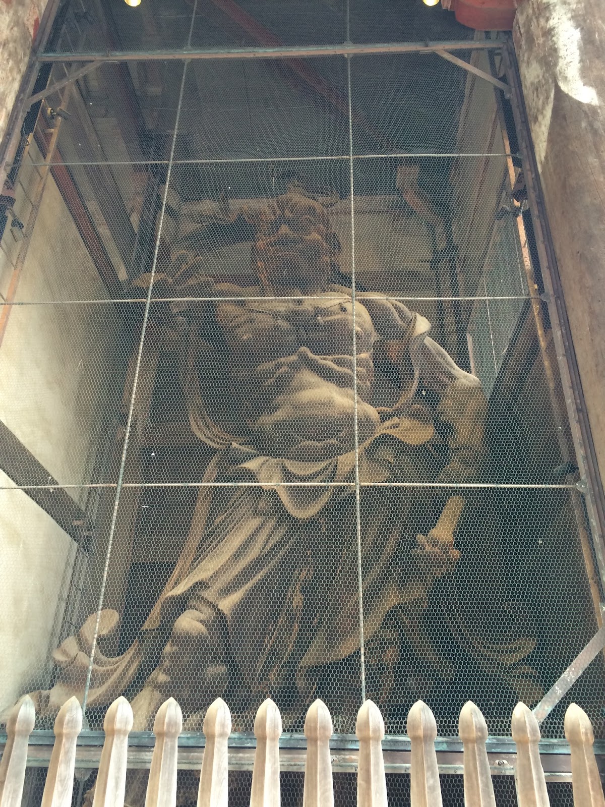 奈良 大阪 岡山 姫路城古都遊