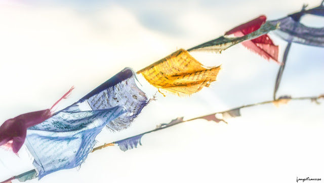 Bouddhisme, tibétain, drapeaux de prières, zen, yoga, méditation, vent, salève, alps, temple bouddhiste