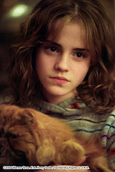 hermione granger blonde shy jk harry potter emma watson young movies daughter hollywood wallpapers azkaban rowling heroin actors