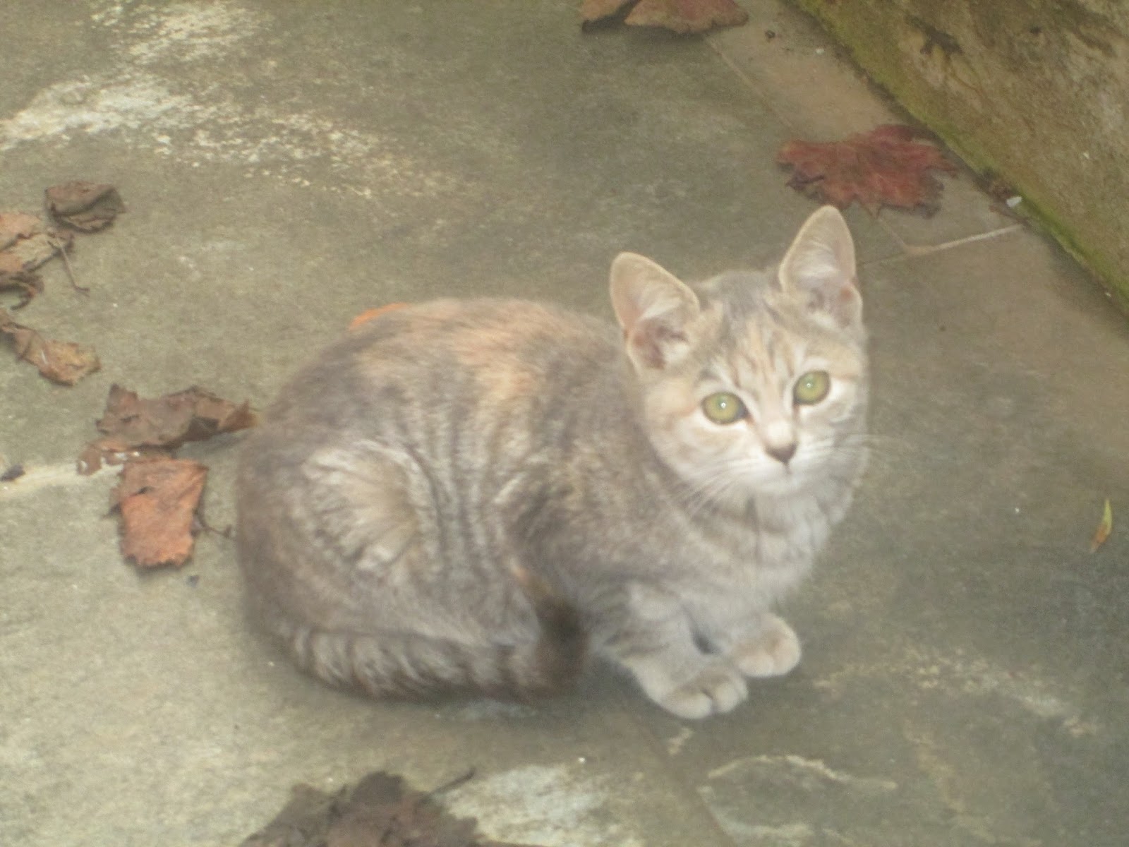 Raccontare un paese dal mio paese (3 foto