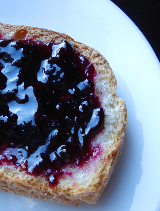 Jennifer and Ed's Blog Bread Machine Adventures Jam