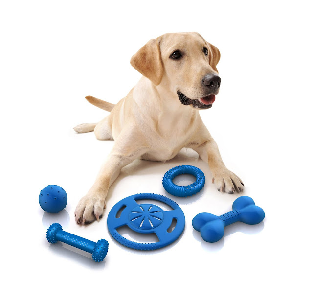 Lựa chọn đồ chơi an toàn cho cún