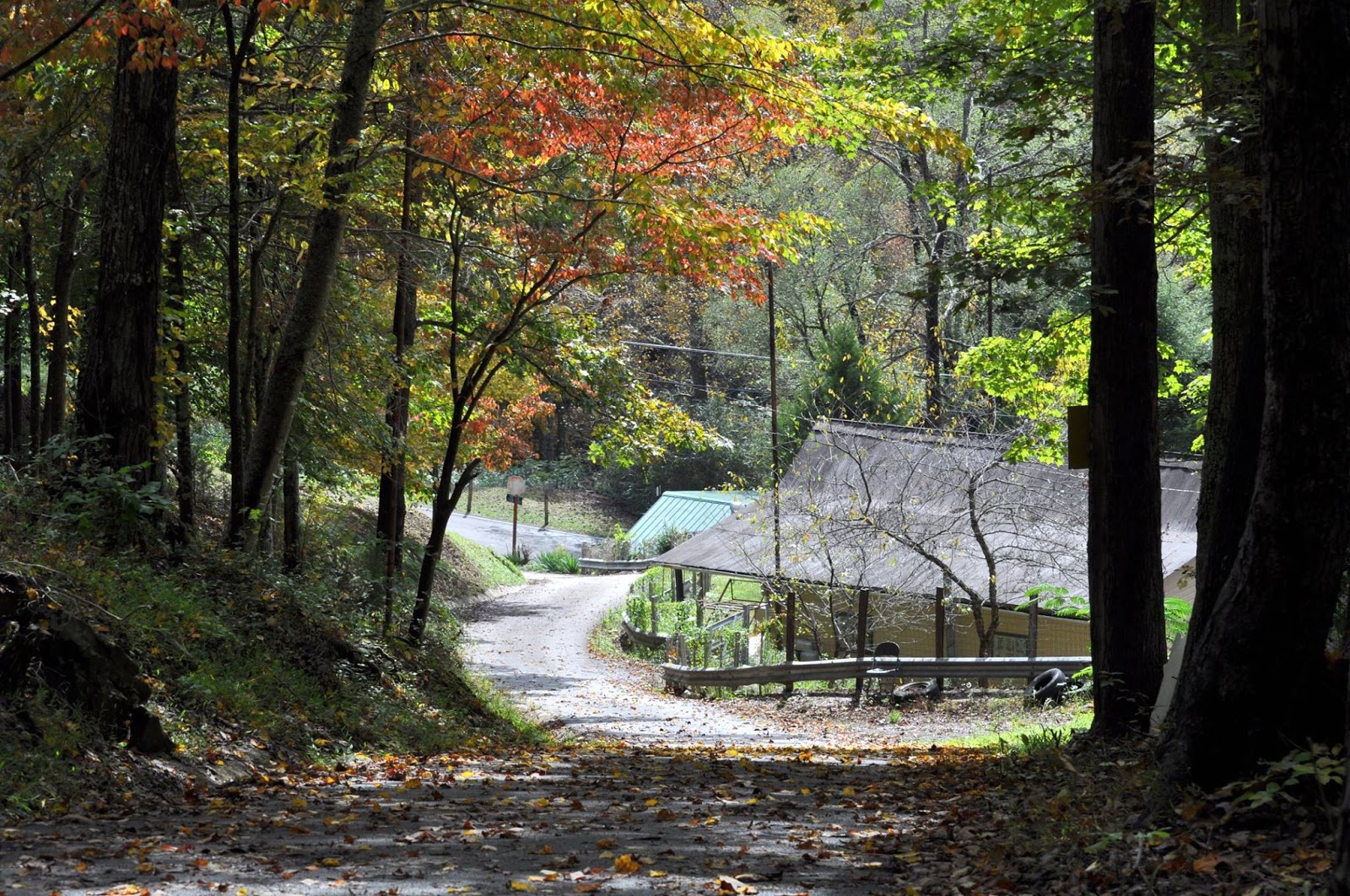 Diamonds in My Coal bucket Appalachian Language Holler