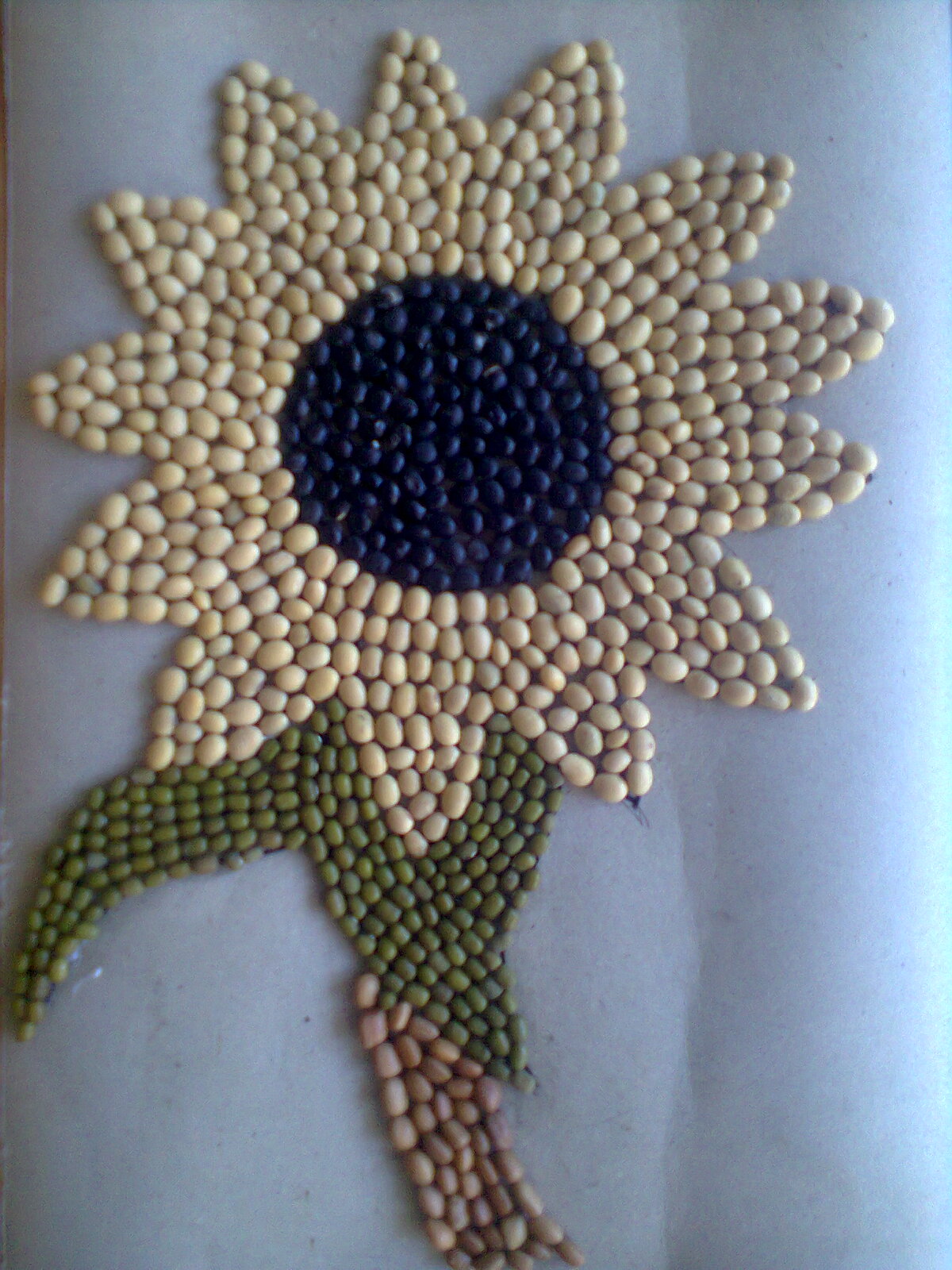Contoh Gambar Kolase Bunga Matahari  Eva