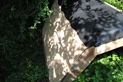 chicken homesteading creative