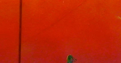 The Recovery Diaries: Chinese Cemetary