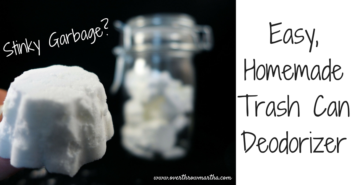 DIY Trash Can Deodorizer Overthrow Martha