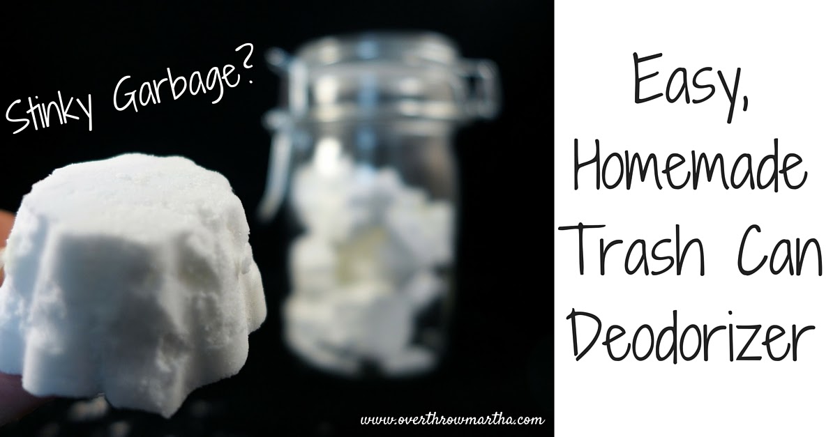DIY Trash Can Deodorizer Overthrow Martha