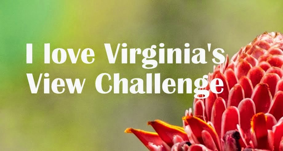 Virginia's View Challenge