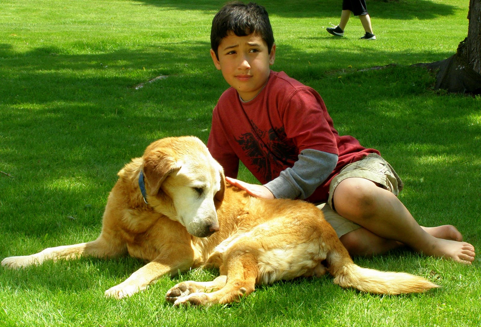 Slight Detour Remembering Annie Dog